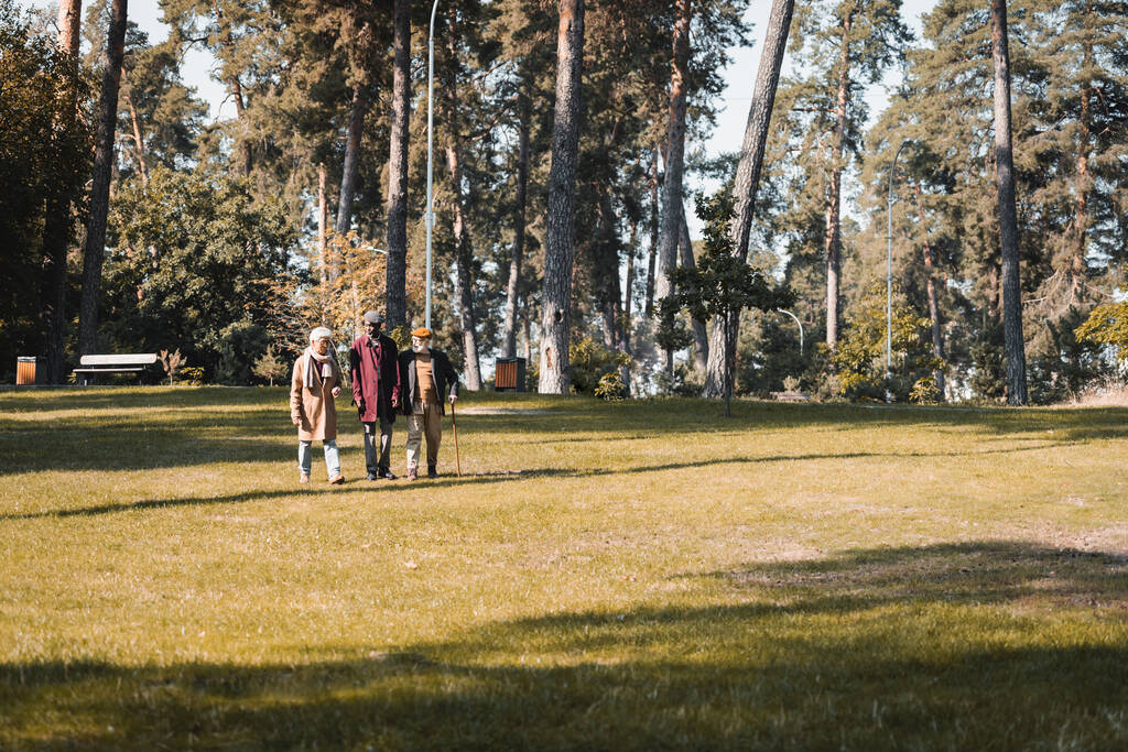 Ηλικιωμένοι πολυεθνικοί άνδρες περπάτημα στο γκαζόν στο πάρκο φθινόπωρο  - Φωτογραφία, εικόνα