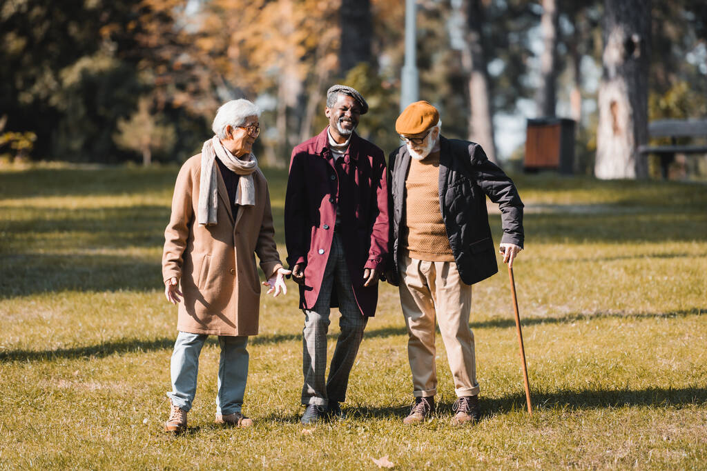 Alegre homem americano africano andando perto de amigos inter-raciais no parque de outono  - Foto, Imagem
