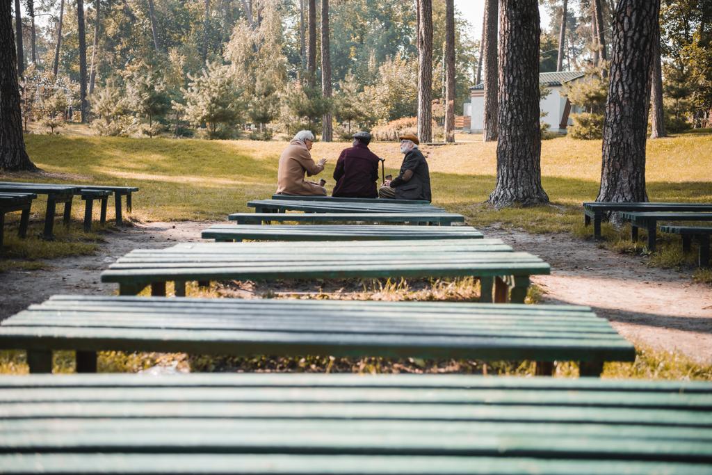 Fajok közötti idősebb férfiak papírpoharakkal beszélgetnek a padon az őszi parkban  - Fotó, kép