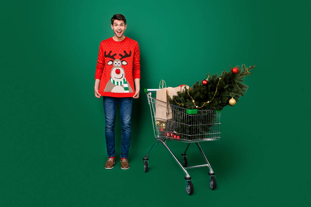 Full size photo of young man happy positive smile show jumper trolley shopping new year eve isolated over green color background - Photo, Image
