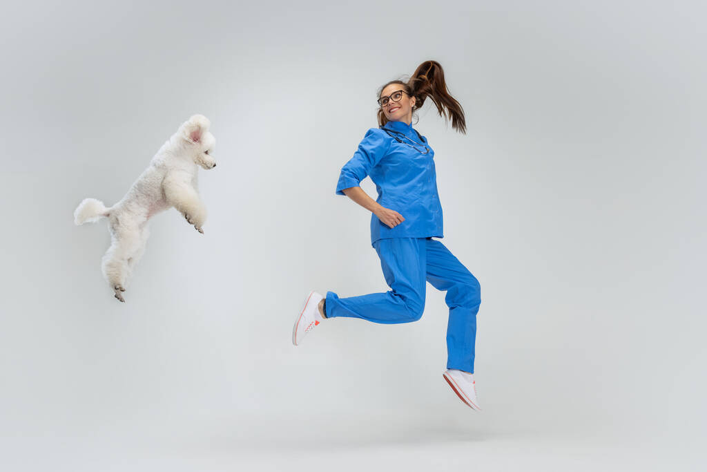 Retrato de jovem mulher bonita, veterinário feminino, médico veterinário e doce bonito cão poodle branco pulando isolado sobre fundo branco. - Foto, Imagem