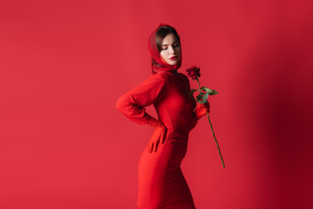 елегантна молода жінка в сукні тримає троянду, позує з рукою на стегні на червоному
 - Фото, зображення