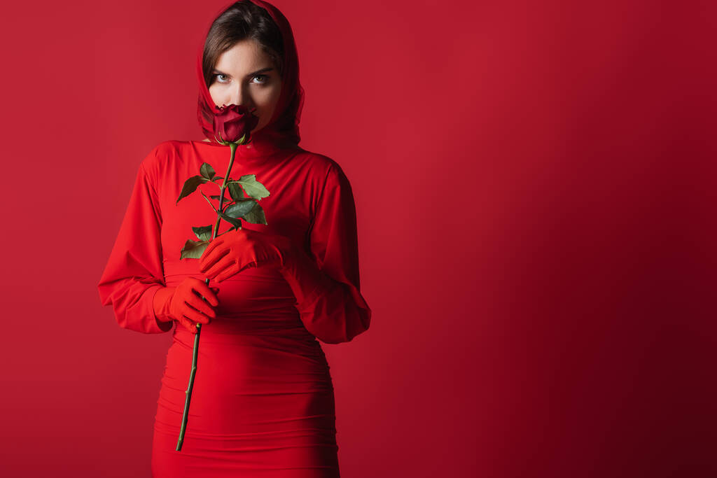 junge Frau in Kleid und Handschuhen, die Rose riecht, während sie vereinzelt in die Kamera auf Rot schaut - Foto, Bild