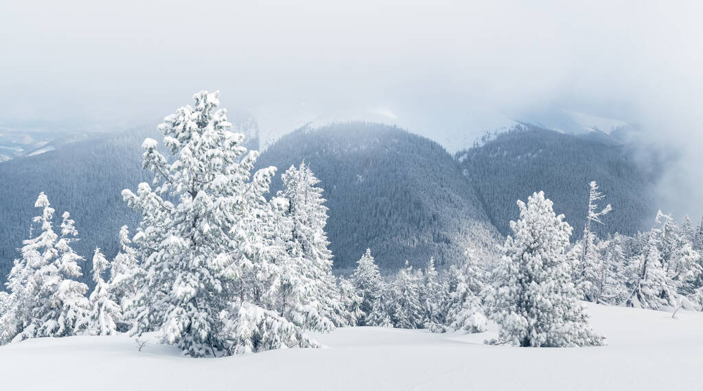 Traumhafte Winterlandschaft - Foto, Bild