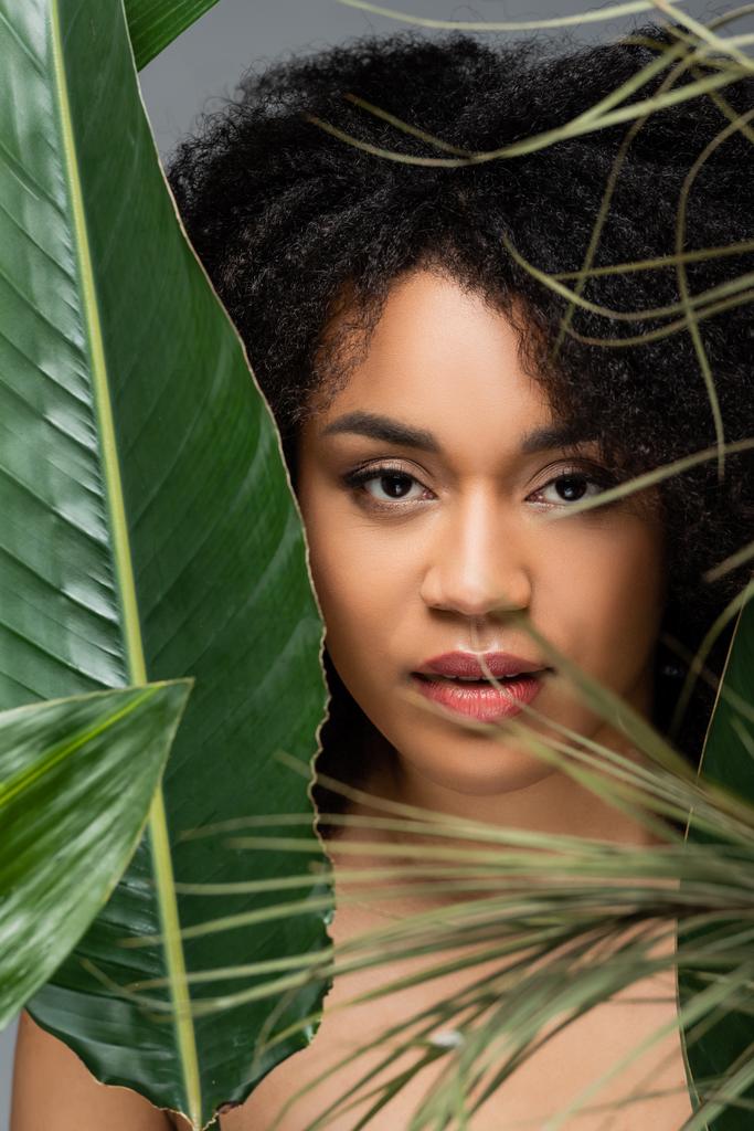mujer afroamericana bonita con maquillaje natural mirando la cámara cerca de hojas verdes aisladas en gris - Foto, Imagen