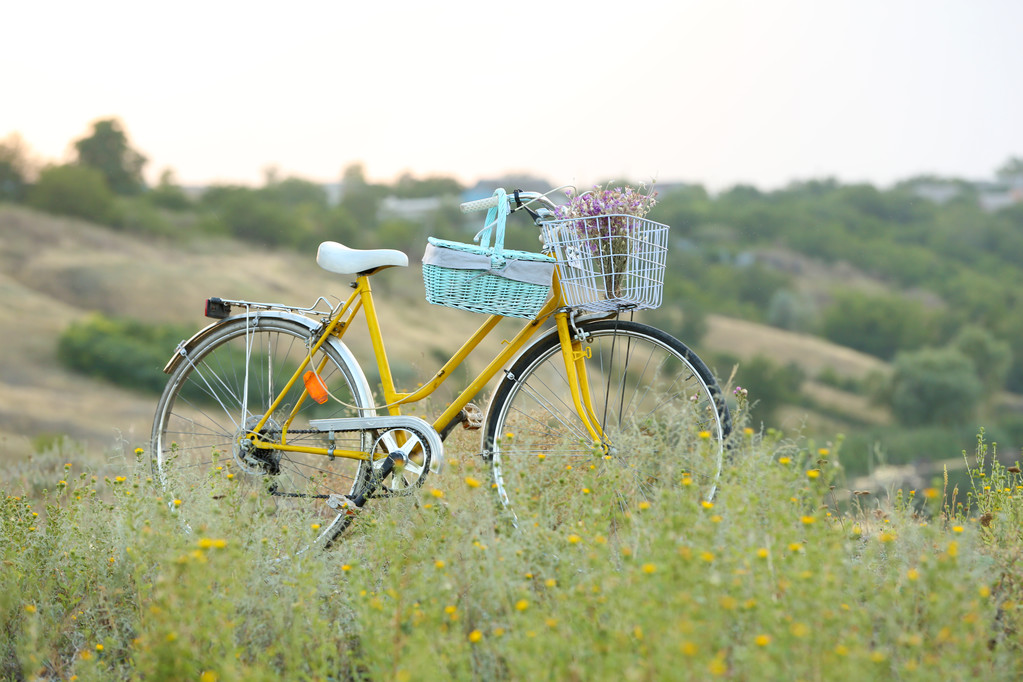 Велосипед на лугу на закате
  - Фото, изображение