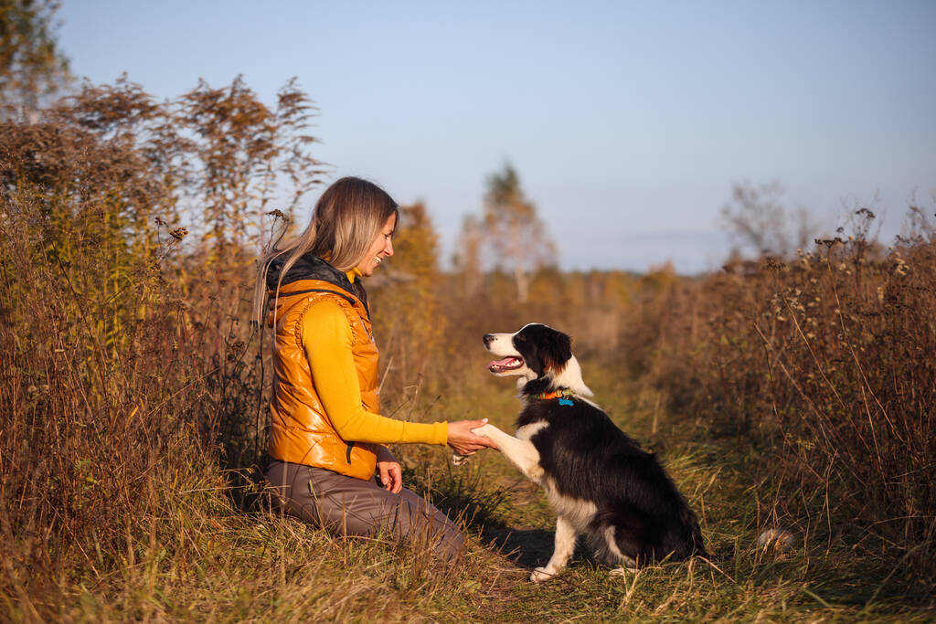 Portrait of a girl and border collie in the field. - Photo, Image