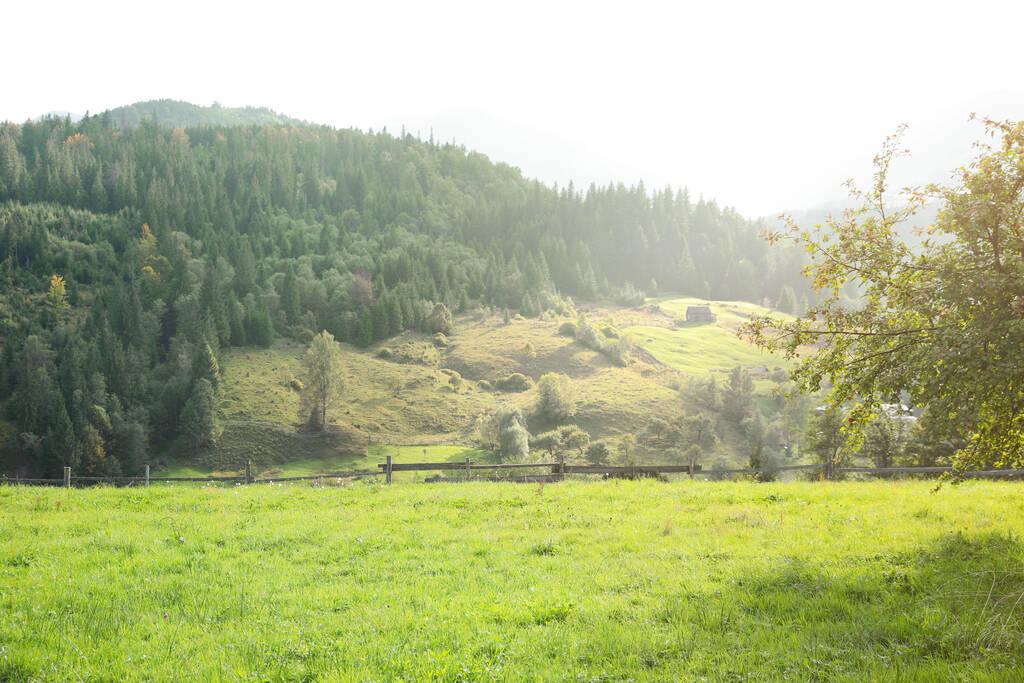 Krásný výhled s dřevěným plotem a jehličnatým horským lesem - Fotografie, Obrázek