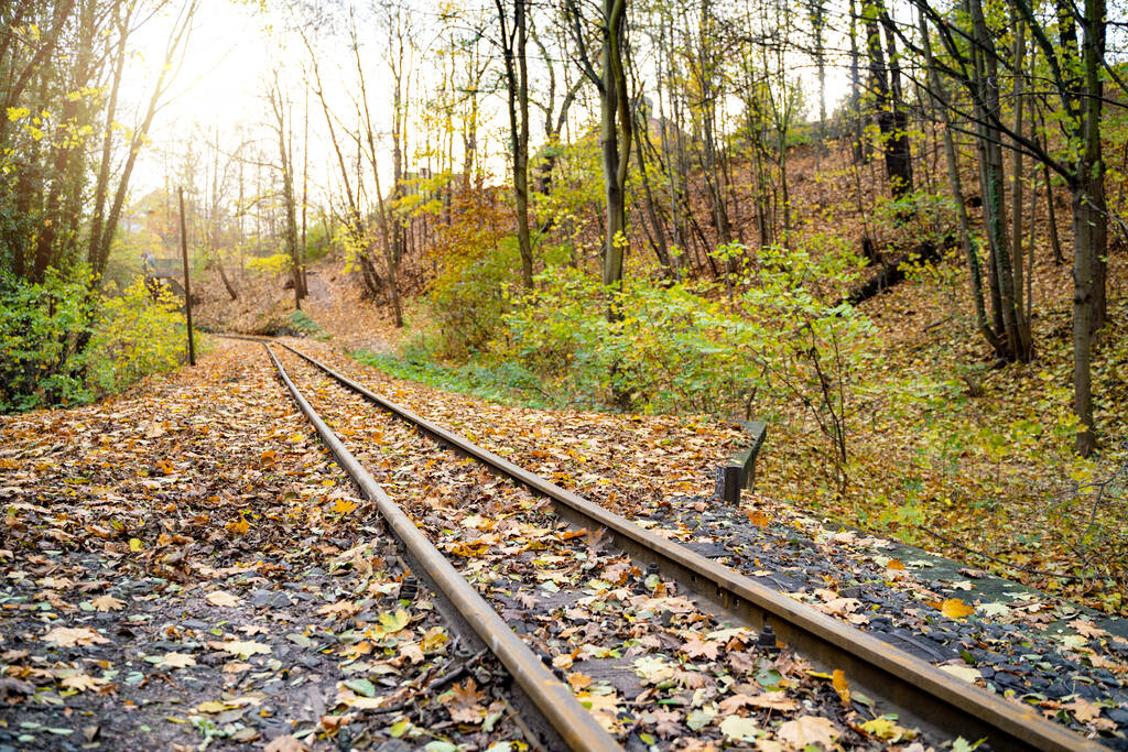 Stare zardzewiałe tory kolejowe rozciągające się w oddali pomiędzy pomarańczowymi i żółtymi liśćmi jesienią lub listopadowym lasem w spokojny dzień o zachodzie słońca. Charakter, specyficzny dla danego sezonu, transport, przemysł towarowy - Zdjęcie, obraz