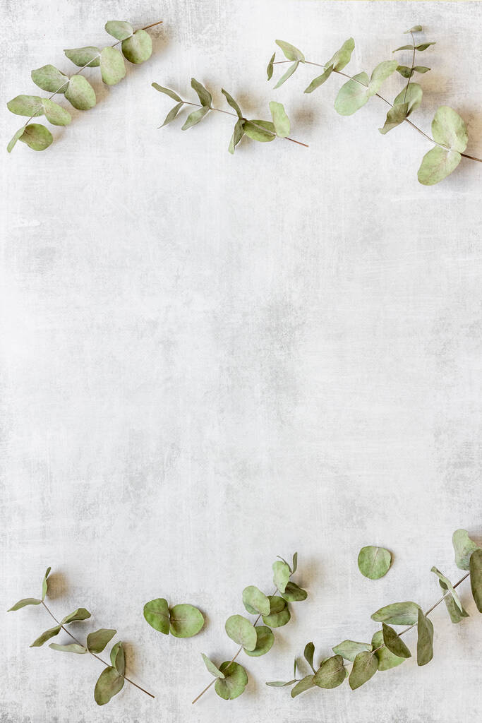 Frame bloemmotief met eucalyptus bladeren en takken - Foto, afbeelding