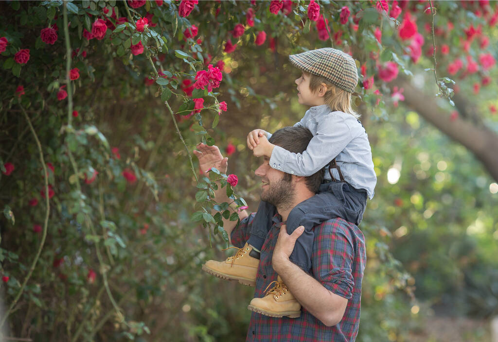 Çocuk babamın omuzlarında oturuyor, bahçede kırmızı güllere bakıyorlar. - Fotoğraf, Görsel
