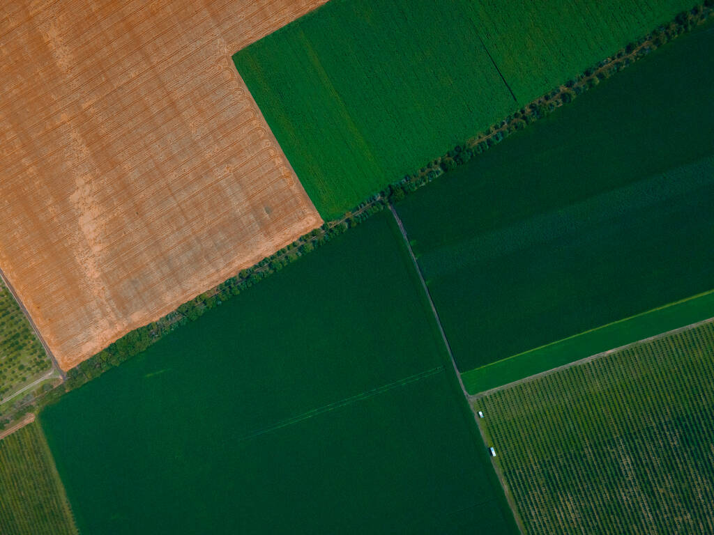 Top view aerial view of agricultural fields. - Photo, Image