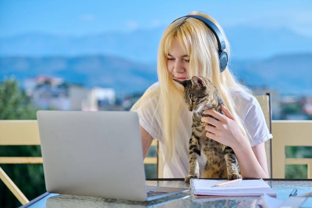 Studentinnen lernen zu Hause online mit Laptop - Foto, Bild