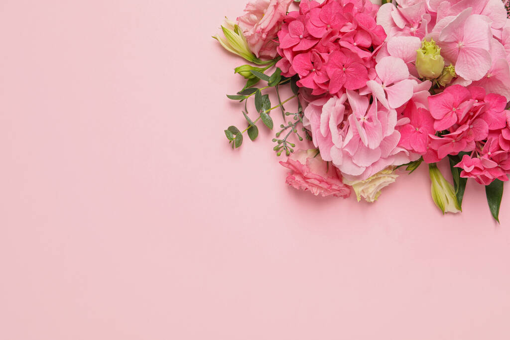 Beautiful composition with hortensia flowers on pink background, flat lay. Space for text - Photo, Image