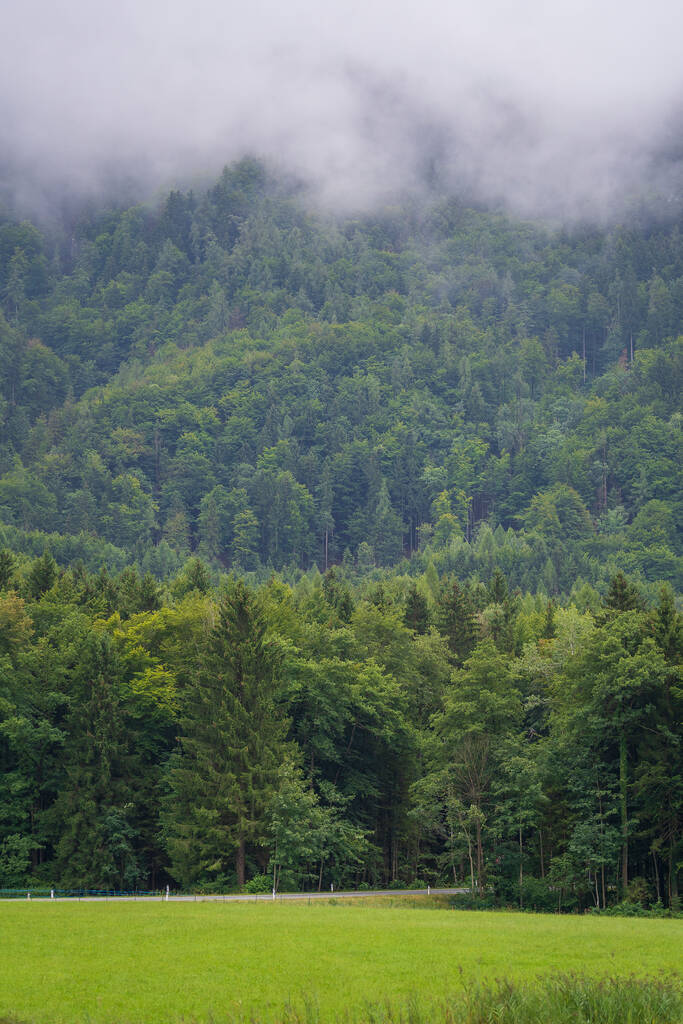 Widok na las górski, zielone pola i drogi w letni dzień w Alpach Austria, koncepcja podróży i przyrody - Zdjęcie, obraz