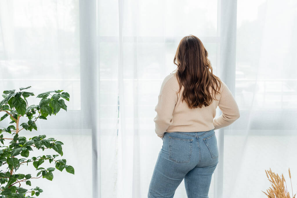 Vista posterior de la mujer joven con sobrepeso de pie cerca de la ventana en casa  - Foto, Imagen