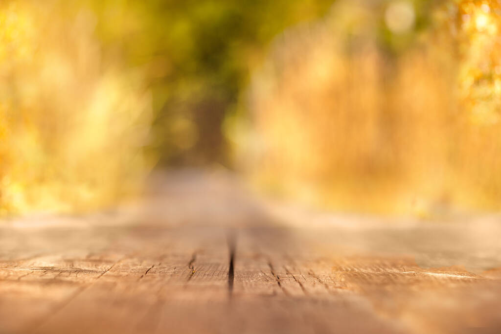 Superficie in legno sullo sfondo di una foresta gialla autunnale sfocata. Luminosa giornata di sole. - Foto, immagini