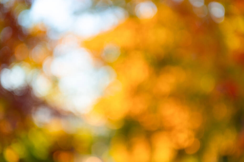blurred bokeh background of autumn with nobody, fall - Photo, Image