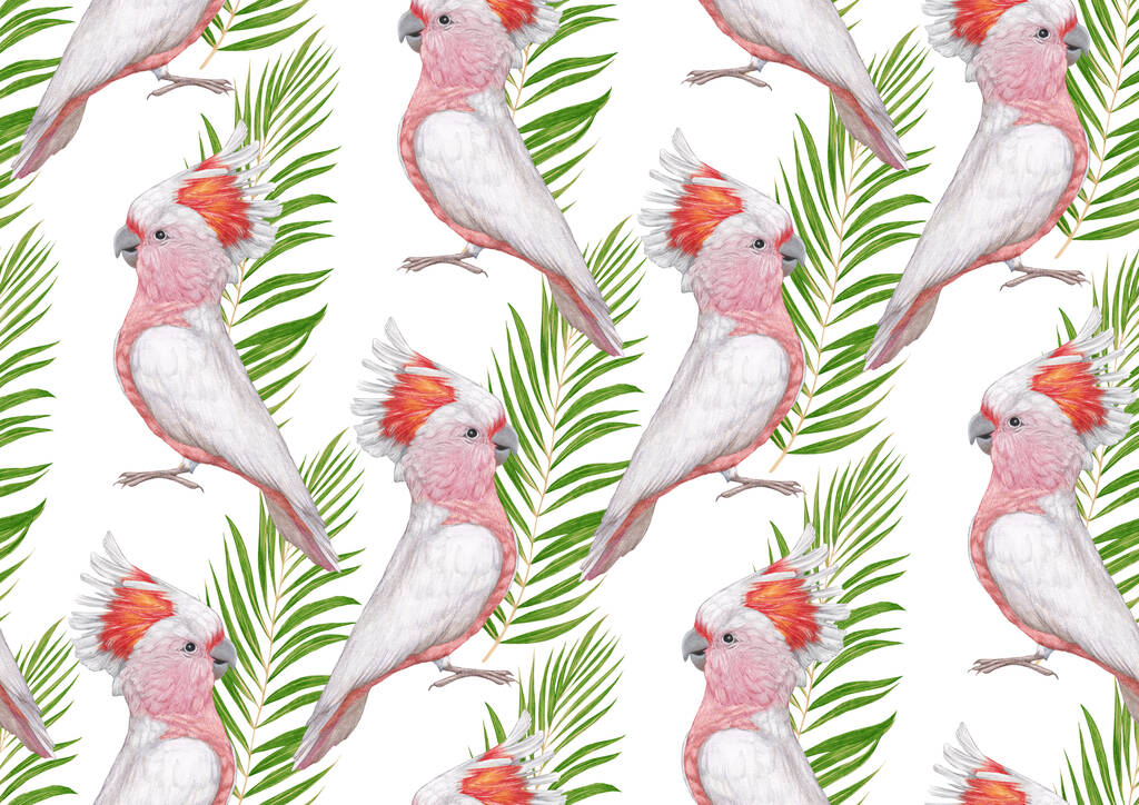 parrots pattern hand drawn birds background  - Фото, изображение