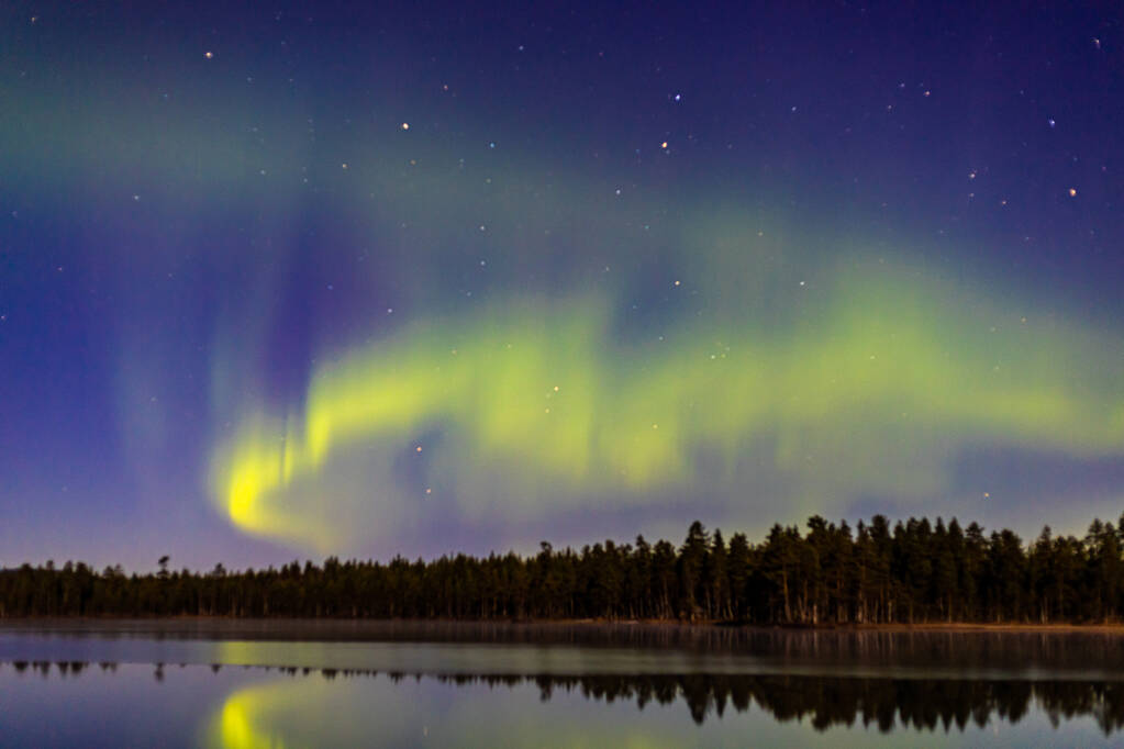 Krásná severní světla nad stromy a klidné jezero - Fotografie, Obrázek