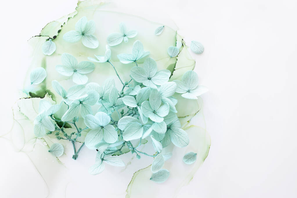 Image créative de pastel menthe Hortensia fleurs sur fond d'encre artistique. Vue supérieure avec espace de copie - Photo, image