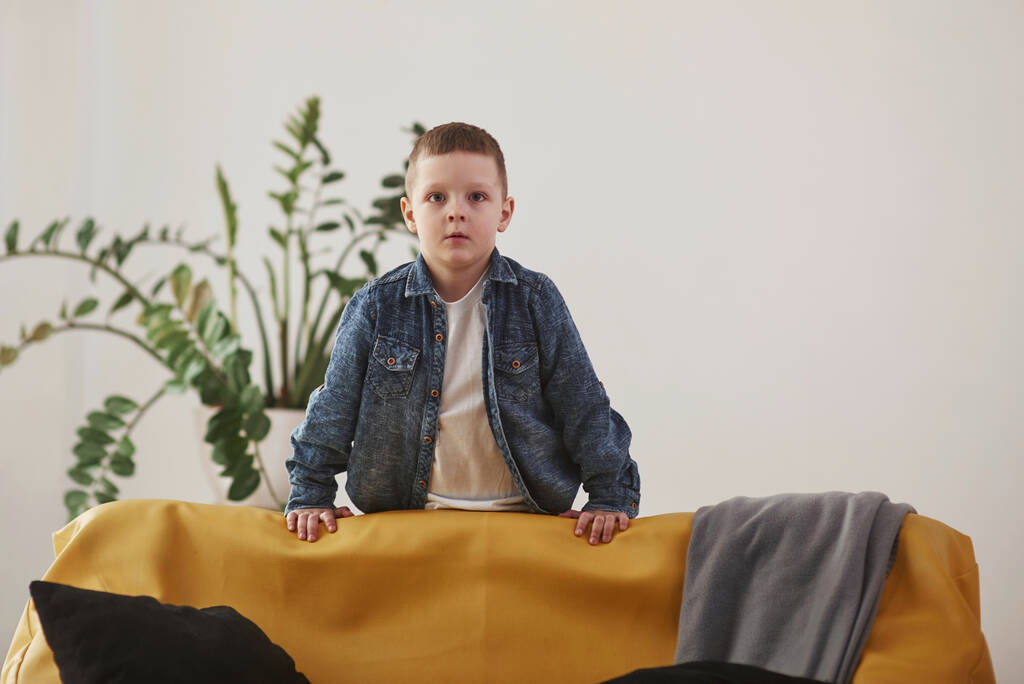 Ребенок стоит в гостиной рядом с желтым диваном и зеленым растением. Белый фон. - Фото, изображение