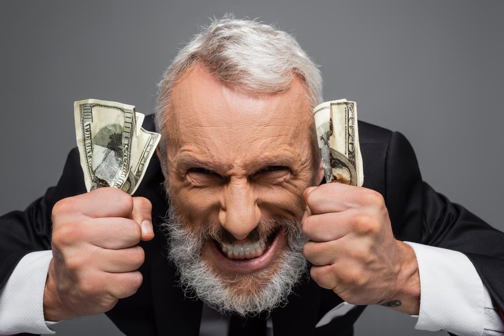 Mutlu orta yaşlı işadamı dolar banknotları tutuyor ve griler içinde sırıtıyor. - Fotoğraf, Görsel