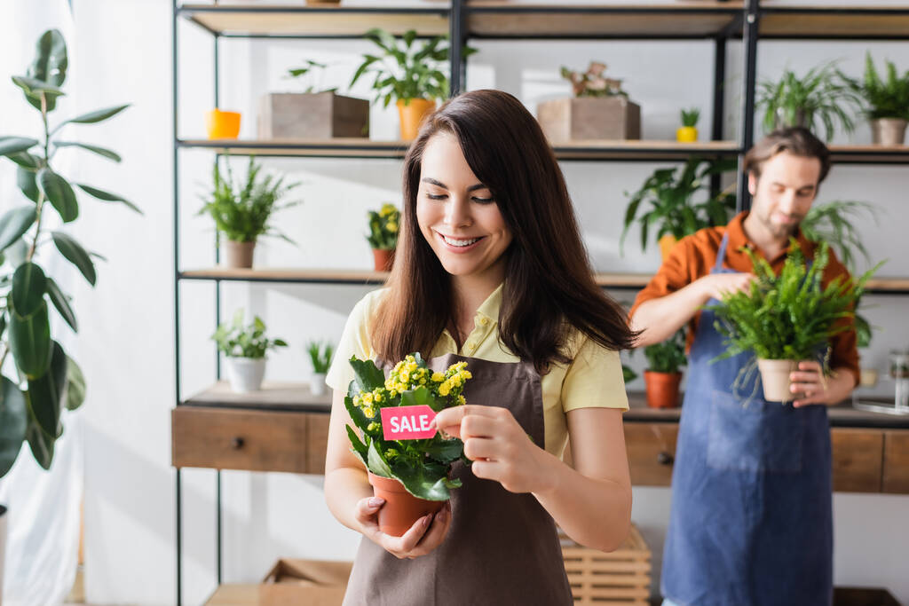 Positivo minorista celebración de etiqueta de precio cerca de la planta y colega en la tienda de flores borrosas  - Foto, imagen
