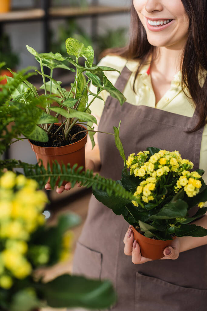 Gekropte weergave van glimlachende bloemist holding planten in de bloemenwinkel  - Foto, afbeelding