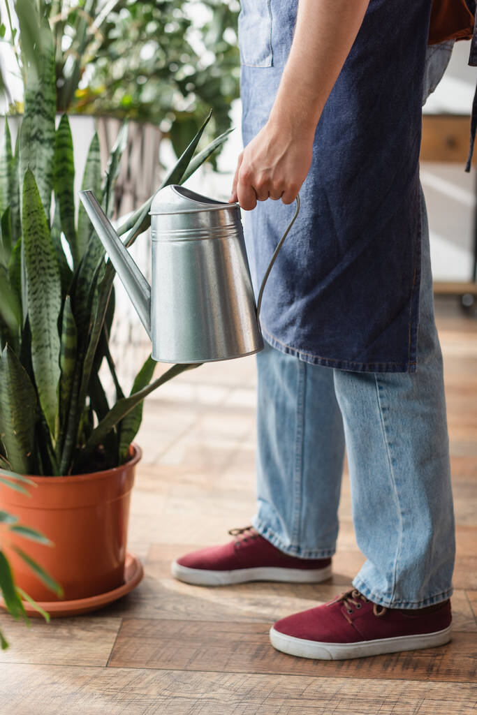 Cropped view of florist in apron holding watering can near plant in flower shop  - Photo, Image