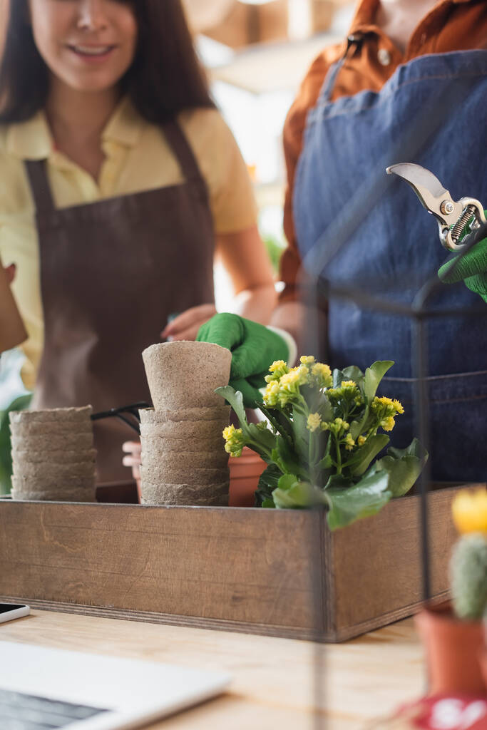 Обрізаний вид флориста, який тримає обрізні ножиці біля рослини та колеги в магазині
  - Фото, зображення