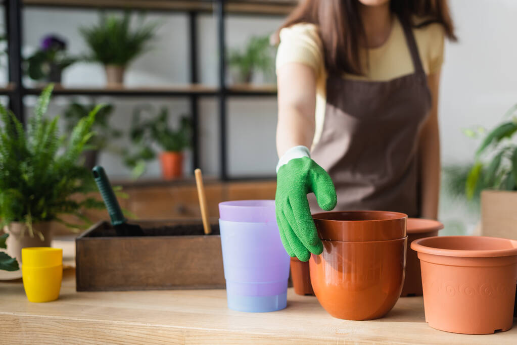 Cropped view of florist in glove taking flowerpot near blurred plant in flower shop  - Photo, Image