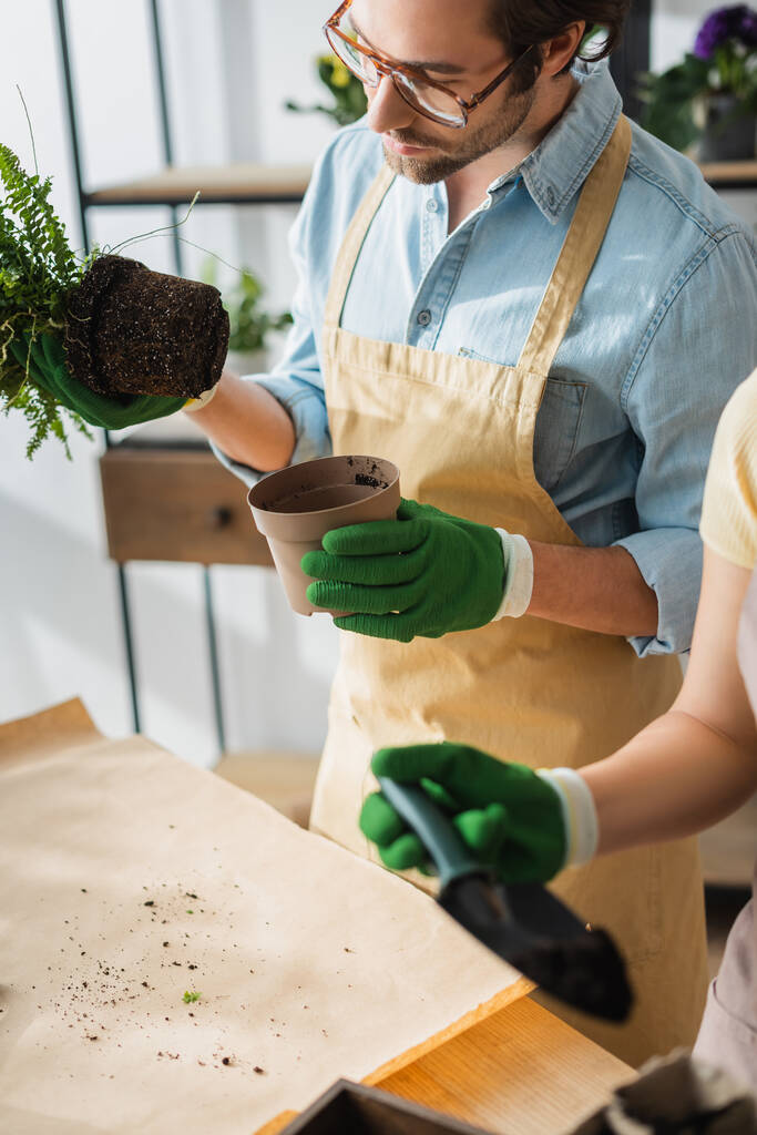Florista em óculos segurando planta e vaso perto colega borrado na loja  - Foto, Imagem