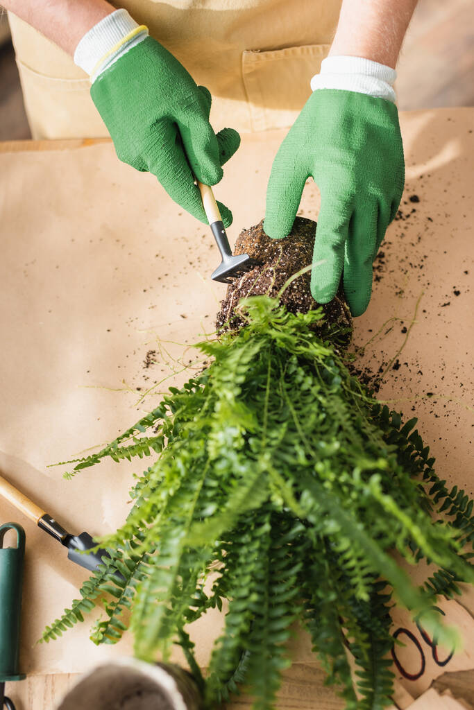 Vista recortada de floristería en guantes trabajando con planta y rastrillo en floristería  - Foto, imagen