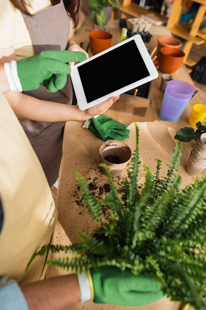 Cropped view of florist in glove pointing at digital tablet near plant and colleague in flower shop  - Photo, Image