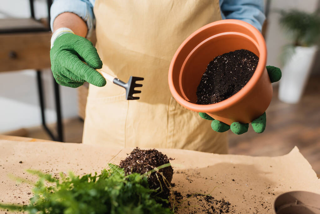 Cropped view of florist holding gardening rake and flowerpot near blurred plant in shop  - Photo, Image