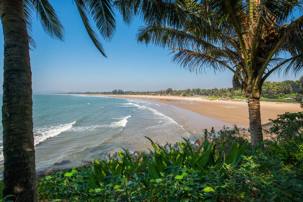  Idyllic view on beach of Goa , South India. Palm trees and sand and gentle waves roll over the beach sand.  Fishing wooden boats on beach now.  a good sunny day on indian resort! and small points of people on beach. - Photo, Image