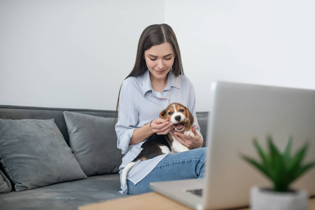 Jovem mulher de cabelos escuros com um filhote de cachorro bonito sentado no laptop - Foto, Imagem