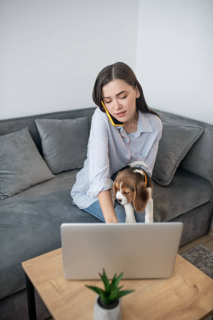 Young dark-haired woman sitting with a puppy and talking on the phone - Photo, Image