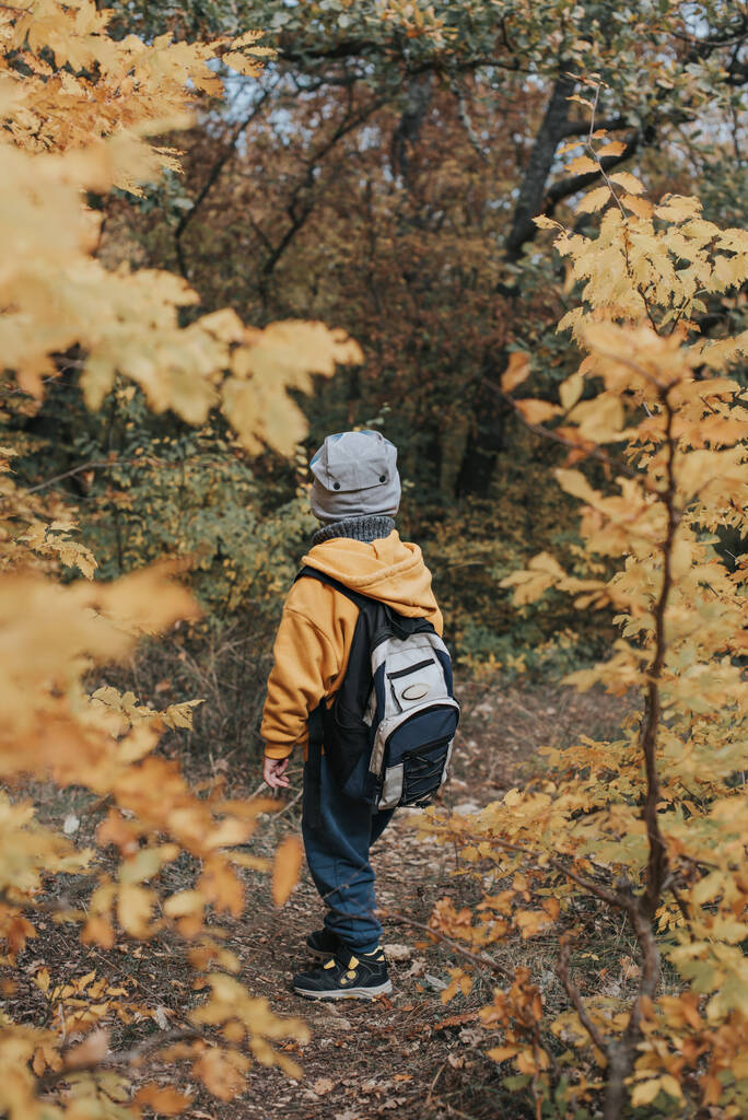Chlapec kráčí podzimním lesem. - Fotografie, Obrázek