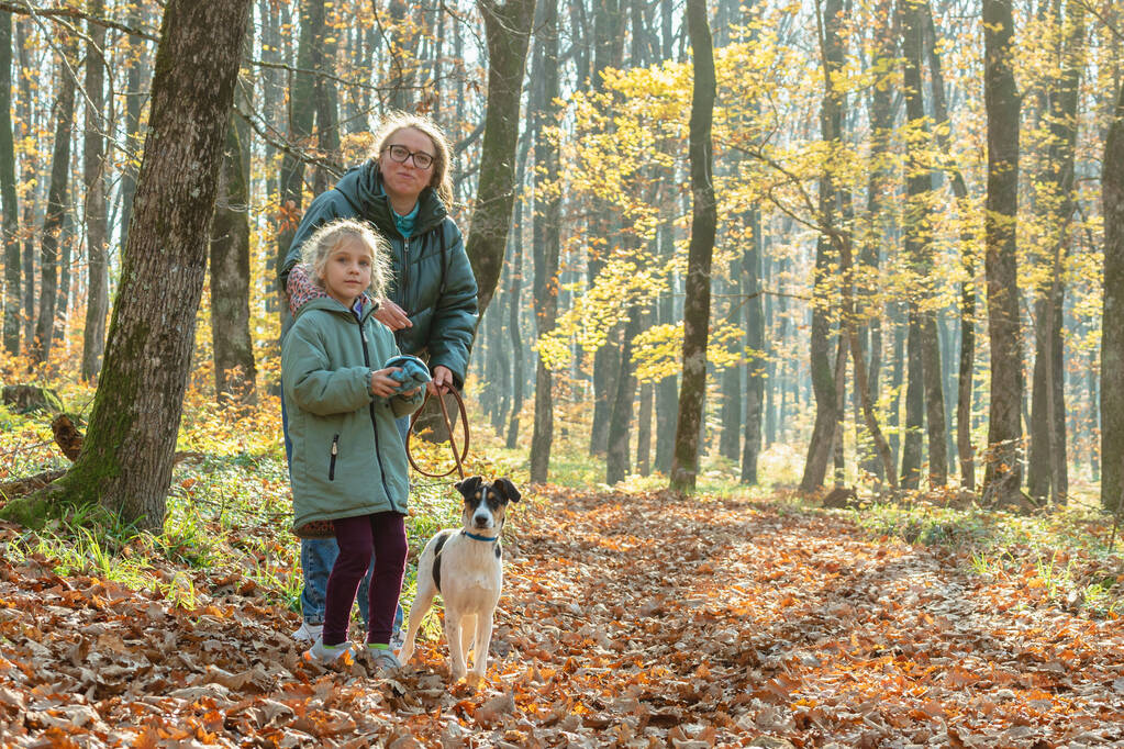 Une femme en lunettes et veste se tient debout avec une petite fille et un chien en laisse dans une forêt d'automne. En arrière-plan les feuilles tombées et les troncs d'arbres. Maman et fille dans les bois pour une promenade - Photo, image