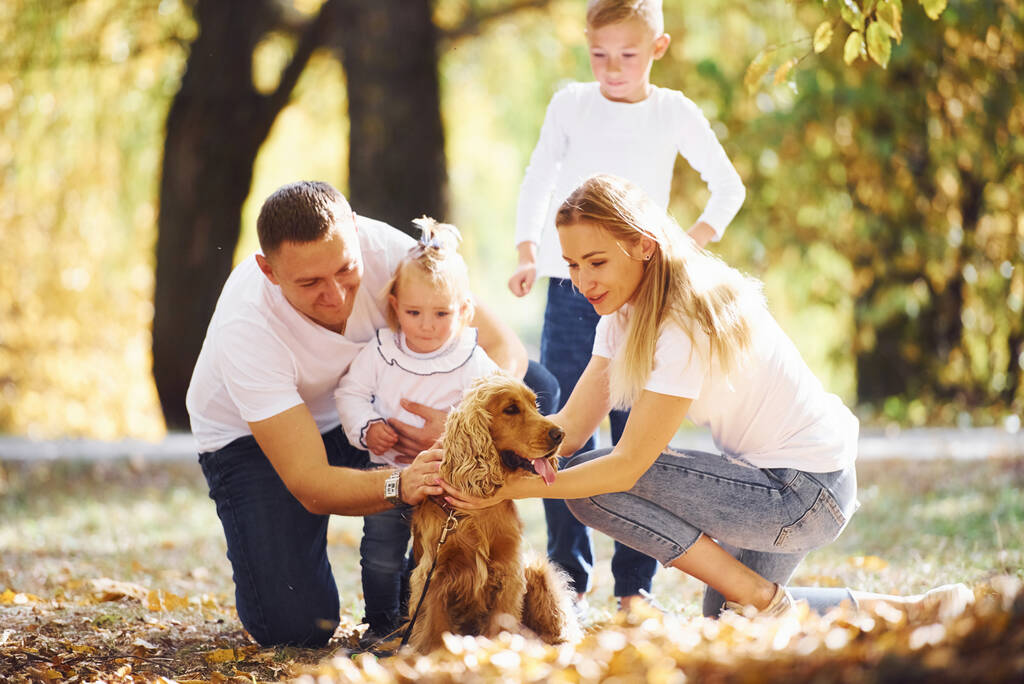 Wesoła młoda rodzina z psem odpocznij razem w jesiennym parku. - Zdjęcie, obraz