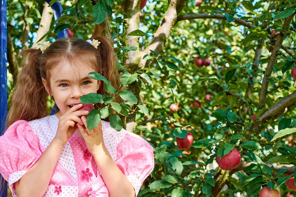 Ένα παιδί δαγκώνει ένα μήλο. Μια όμορφη νεαρή γυναίκα με σγουρά μαλλιά προσπαθεί να δαγκώσει ένα υπέροχο κόκκινο μήλο από ένα κλαδί δέντρου στον κήπο το φθινόπωρο.. - Φωτογραφία, εικόνα