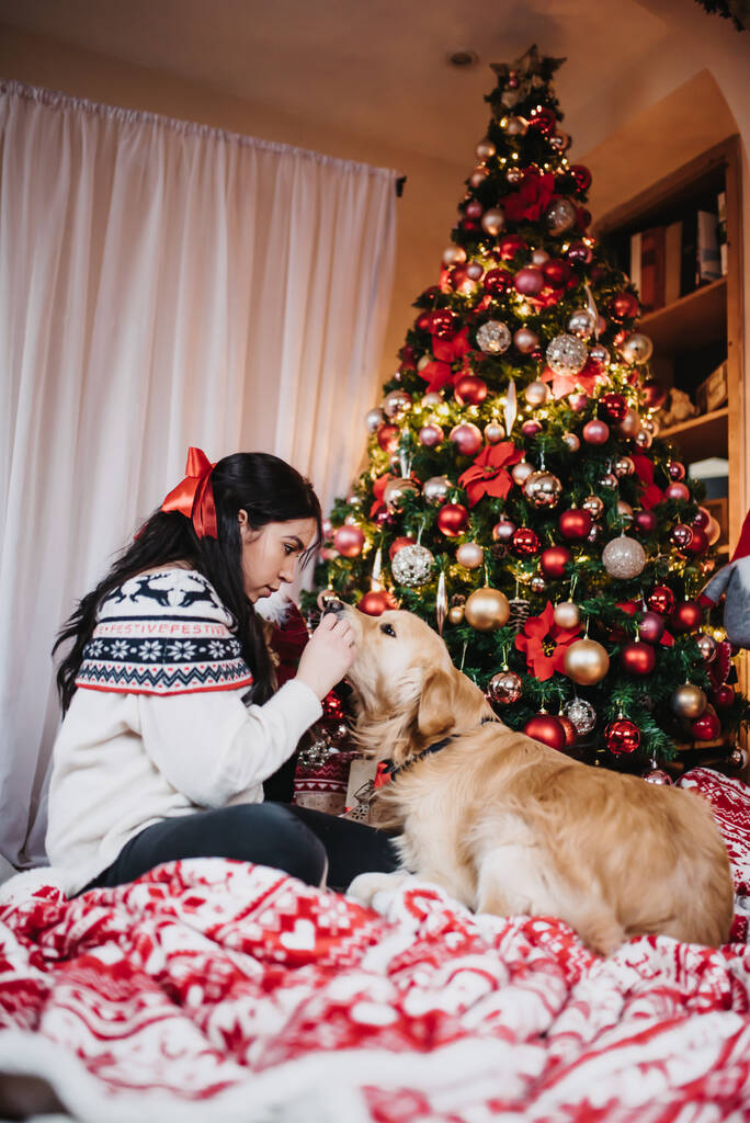 Жінка грає зі своїм золотим собакою-ретривером біля барвистої різдвяної ялинки напередодні Різдва
 - Фото, зображення