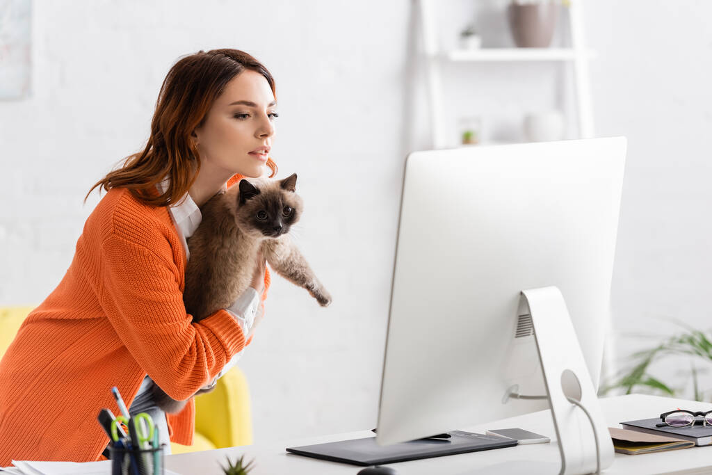 молода жінка тримає кота, дивлячись на монітор комп'ютера на столі вдома
 - Фото, зображення