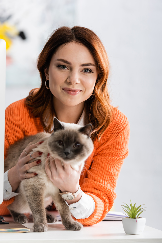 красивая женщина улыбается в камеру, обнимаясь с кошкой, сидя на рабочем столе - Фото, изображение