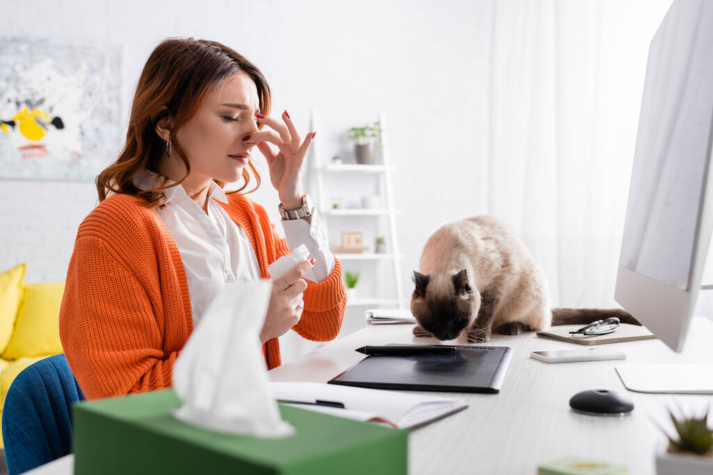 mulher alérgica espirros perto de gato sentado na mesa de trabalho perto de tablet gráfico - Foto, Imagem