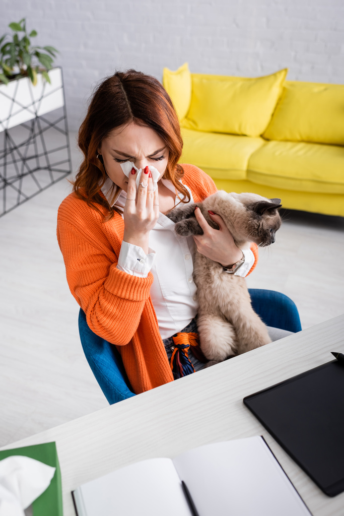 vysoký úhel pohledu ženy kýchání v papírovém ubrousku při sezení s kočkou na pracovním stole - Fotografie, Obrázek