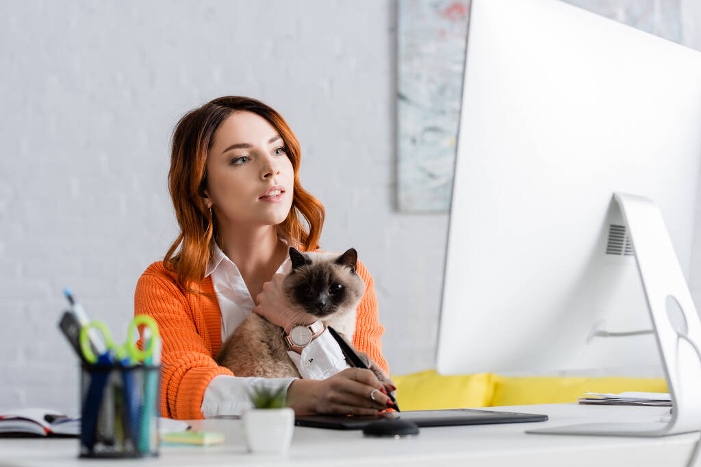 retoucher με τη γάτα χρησιμοποιώντας γραφικό δισκίο, ενώ εργάζονται στην οθόνη του υπολογιστή σε θολή πρώτο πλάνο - Φωτογραφία, εικόνα