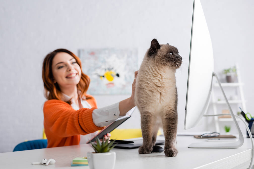 mujer alegre acariciando gato mientras está sentado en escritorio sobre fondo borroso - Foto, imagen